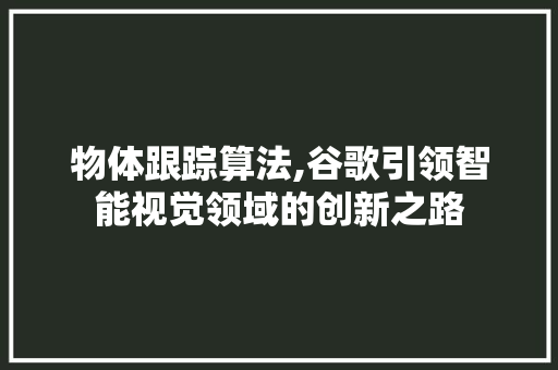 物体跟踪算法,谷歌引领智能视觉领域的创新之路