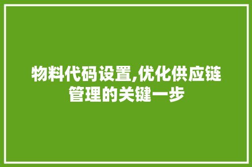 物料代码设置,优化供应链管理的关键一步