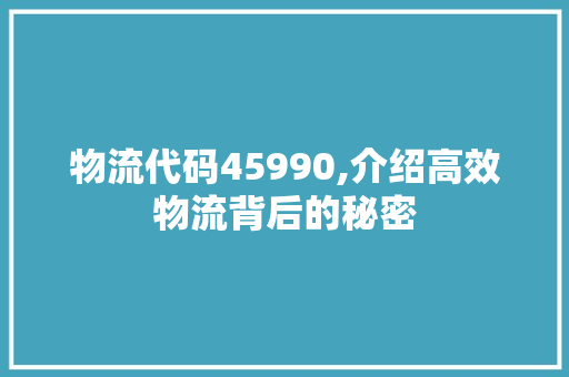 物流代码45990,介绍高效物流背后的秘密