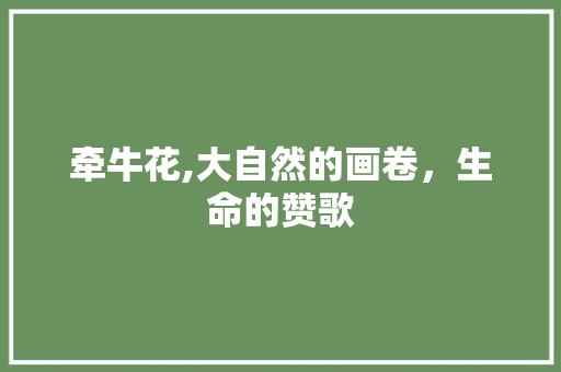 牵牛花,大自然的画卷，生命的赞歌