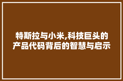 特斯拉与小米,科技巨头的产品代码背后的智慧与启示