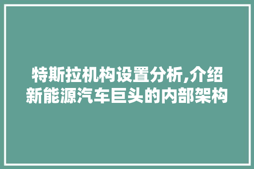 特斯拉机构设置分析,介绍新能源汽车巨头的内部架构