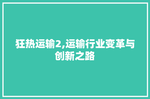 狂热运输2,运输行业变革与创新之路