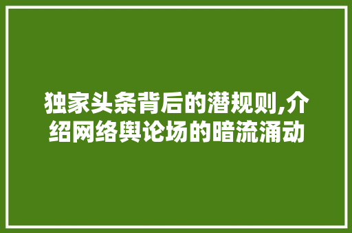 独家头条背后的潜规则,介绍网络舆论场的暗流涌动