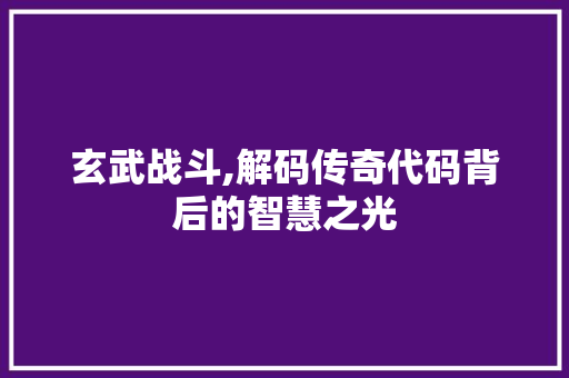 玄武战斗,解码传奇代码背后的智慧之光