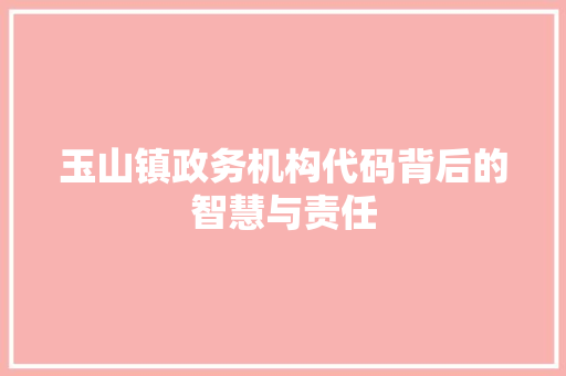 玉山镇政务机构代码背后的智慧与责任