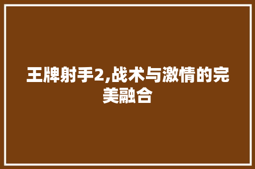 王牌射手2,战术与激情的完美融合