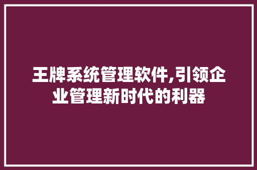 王牌系统管理软件,引领企业管理新时代的利器