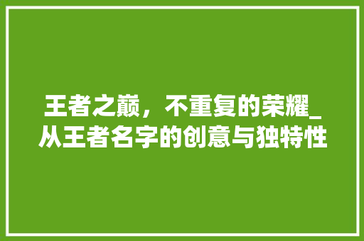 王者之巅，不重复的荣耀_从王者名字的创意与独特性看电竞文化的独特魅力