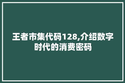 王者市集代码128,介绍数字时代的消费密码