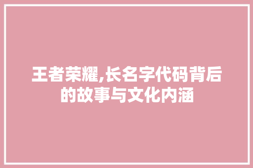 王者荣耀,长名字代码背后的故事与文化内涵