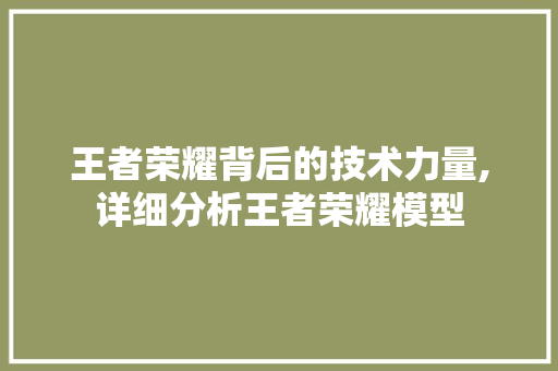 王者荣耀背后的技术力量,详细分析王者荣耀模型