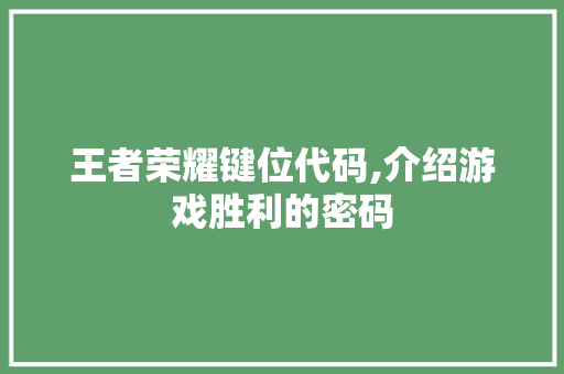 王者荣耀键位代码,介绍游戏胜利的密码