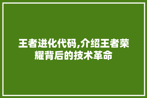 王者进化代码,介绍王者荣耀背后的技术革命