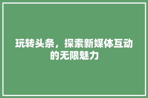 玩转头条，探索新媒体互动的无限魅力