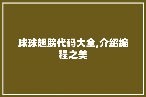 球球翅膀代码大全,介绍编程之美