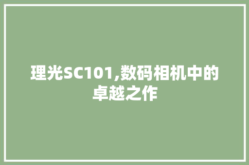 理光SC101,数码相机中的卓越之作