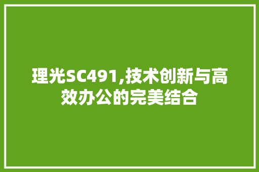 理光SC491,技术创新与高效办公的完美结合