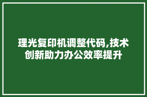 理光复印机调整代码,技术创新助力办公效率提升