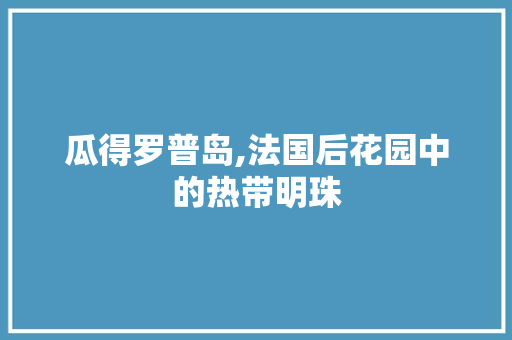 瓜得罗普岛,法国后花园中的热带明珠