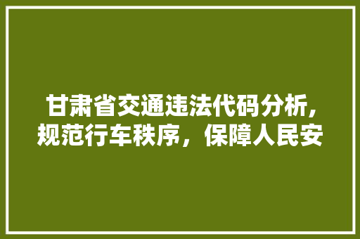 甘肃省交通违法代码分析,规范行车秩序，保障人民安全