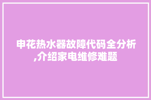 申花热水器故障代码全分析,介绍家电维修难题