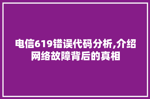 电信619错误代码分析,介绍网络故障背后的真相