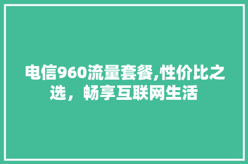 电信960流量套餐,性价比之选，畅享互联网生活