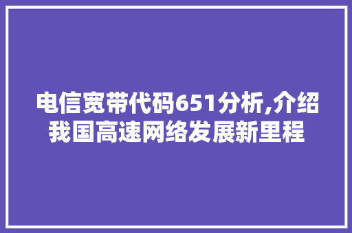 电信宽带代码651分析,介绍我国高速网络发展新里程