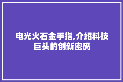 电光火石金手指,介绍科技巨头的创新密码