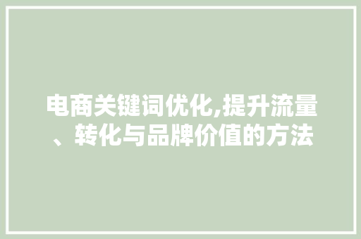 电商关键词优化,提升流量、转化与品牌价值的方法