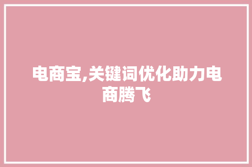 电商宝,关键词优化助力电商腾飞