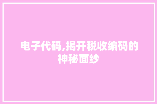 电子代码,揭开税收编码的神秘面纱