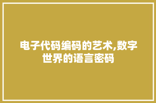 电子代码编码的艺术,数字世界的语言密码