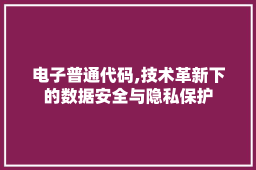 电子普通代码,技术革新下的数据安全与隐私保护