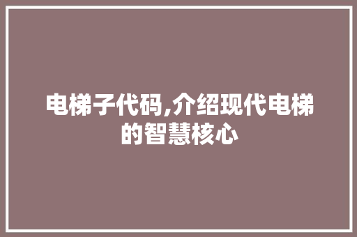 电梯子代码,介绍现代电梯的智慧核心