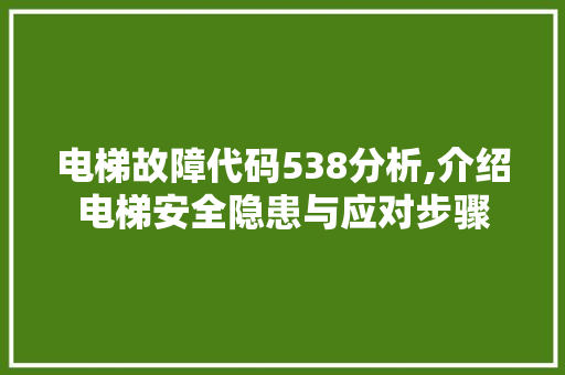 电梯故障代码538分析,介绍电梯安全隐患与应对步骤