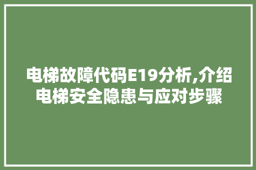 电梯故障代码E19分析,介绍电梯安全隐患与应对步骤 Ruby