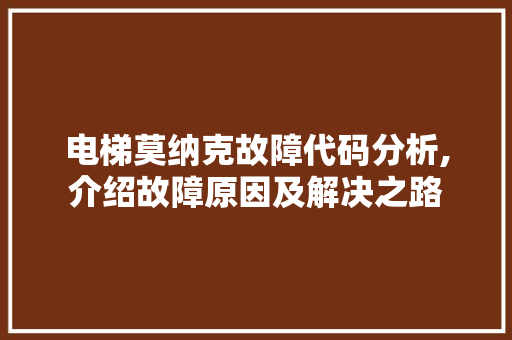 电梯莫纳克故障代码分析,介绍故障原因及解决之路