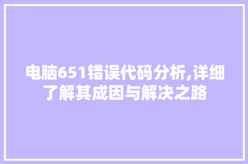 电脑651错误代码分析,详细了解其成因与解决之路