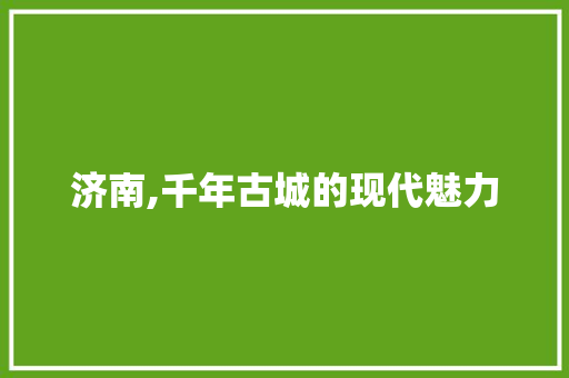 济南,千年古城的现代魅力