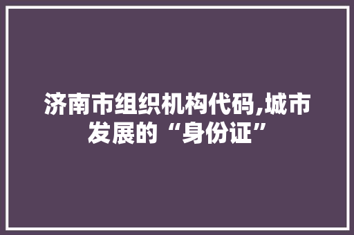 济南市组织机构代码,城市发展的“身份证”