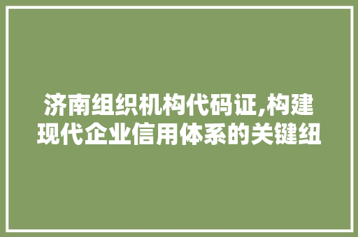 济南组织机构代码证,构建现代企业信用体系的关键纽带