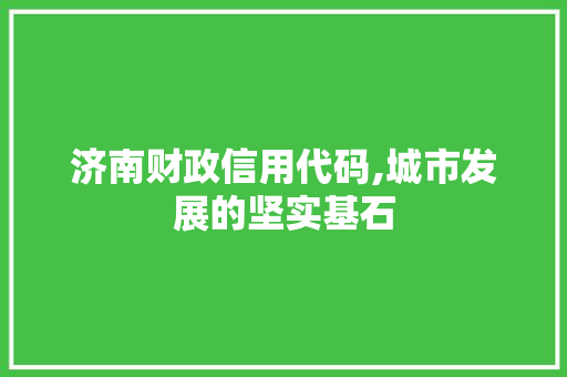 济南财政信用代码,城市发展的坚实基石