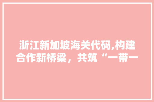 浙江新加坡海关代码,构建合作新桥梁，共筑“一带一路”繁荣之路