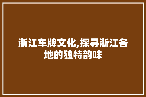 浙江车牌文化,探寻浙江各地的独特韵味