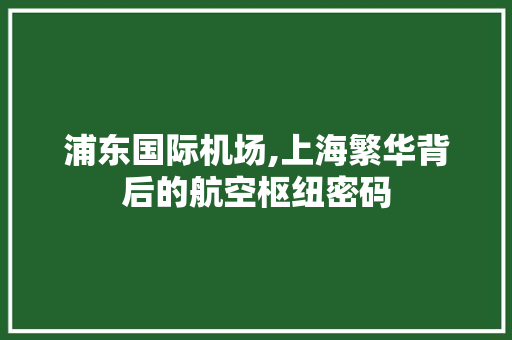 浦东国际机场,上海繁华背后的航空枢纽密码