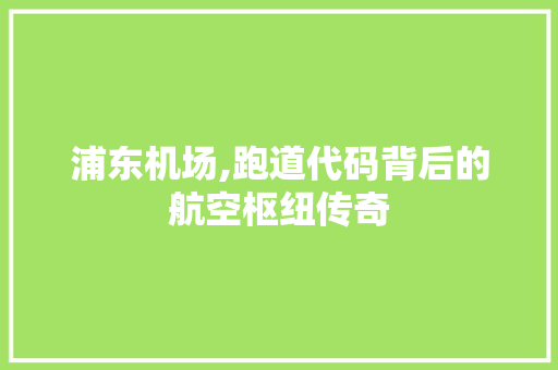 浦东机场,跑道代码背后的航空枢纽传奇