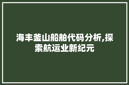 海丰釜山船舶代码分析,探索航运业新纪元