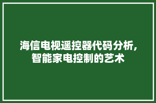 海信电视遥控器代码分析,智能家电控制的艺术